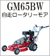 GM65BW